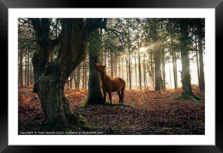 Outdoor  Framed Mounted Print by Matthew Wardle