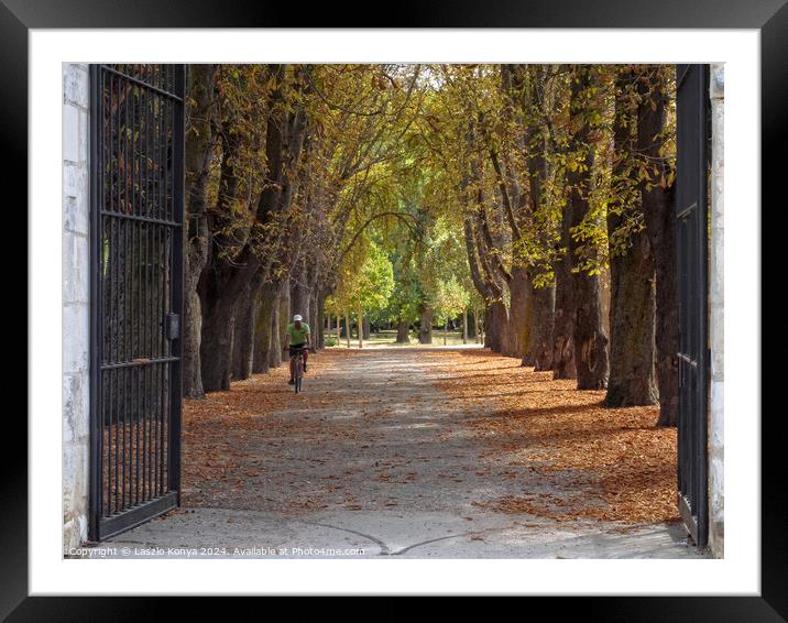Parque El Parral - Burgos Framed Mounted Print by Laszlo Konya