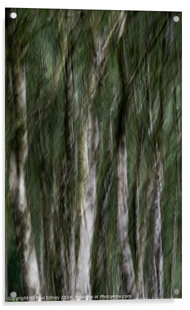 Birch tree icm abstract in Bole Hill Quarry, England Acrylic by Paul Edney