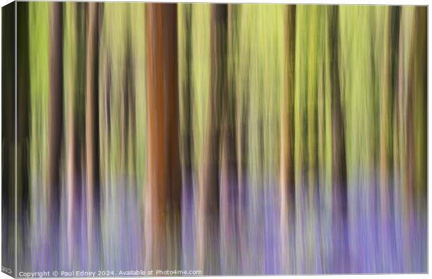 Bluebell icm pastel blur in West Woods Canvas Print by Paul Edney