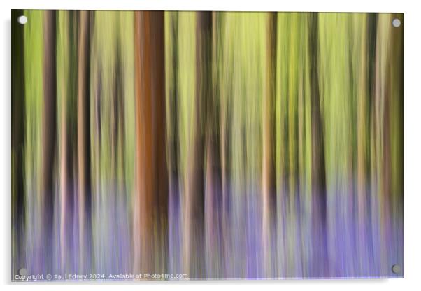 Bluebell icm pastel blur in West Woods Acrylic by Paul Edney