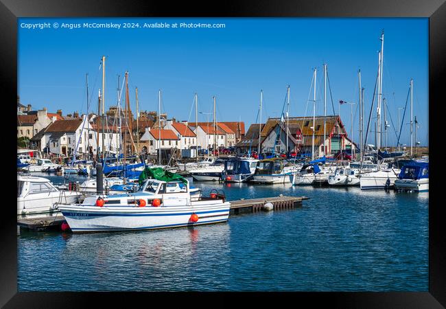 Boats moored in Anstruther marina in Fife Framed Print by Angus McComiskey