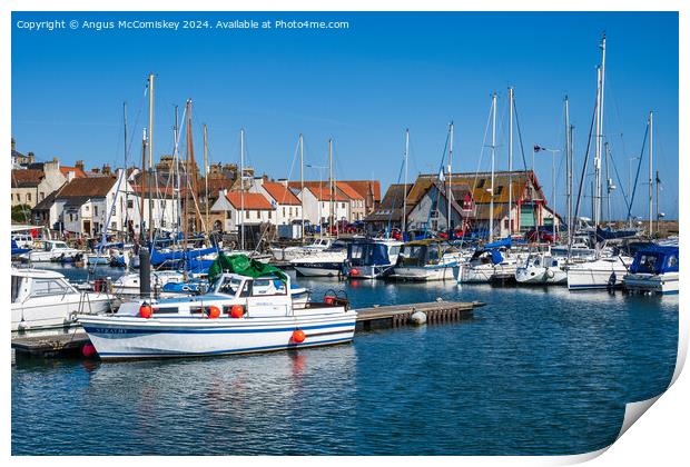 Boats moored in Anstruther marina in Fife Print by Angus McComiskey