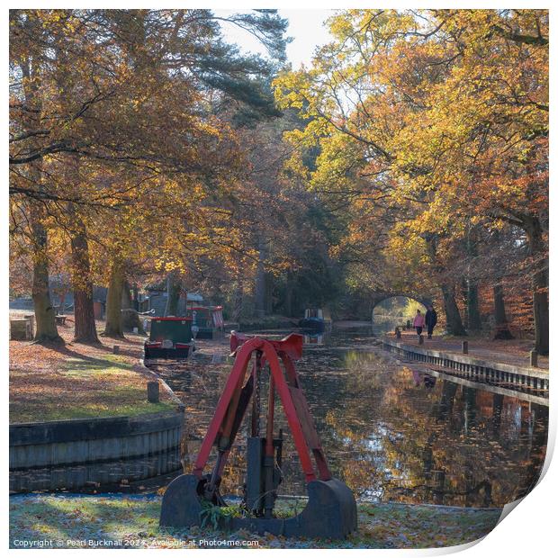 Autumn Colours on the Basingstoke Canal Print by Pearl Bucknall