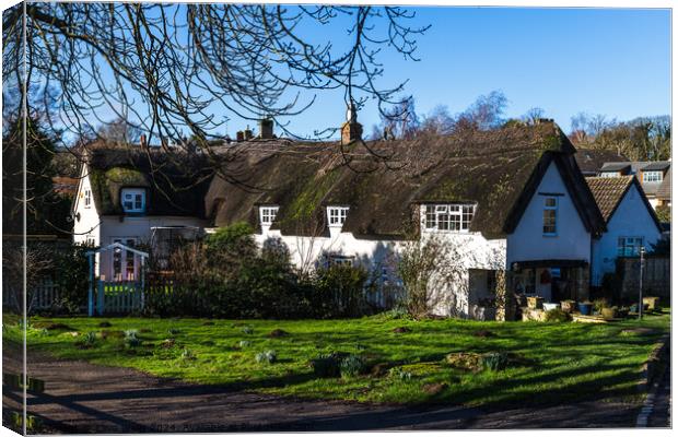 Whitewashed thatched cottage Canvas Print by Clive Wells