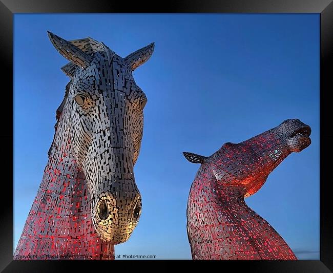 The Kelpies, Falkirk, Scotland Framed Print by David Bennett