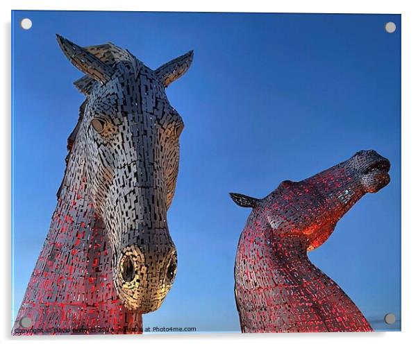 The Kelpies, Falkirk, Scotland Acrylic by David Bennett