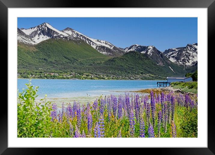 Norwegian Mountain Landscape Around Andalsnes Framed Mounted Print by Martyn Arnold