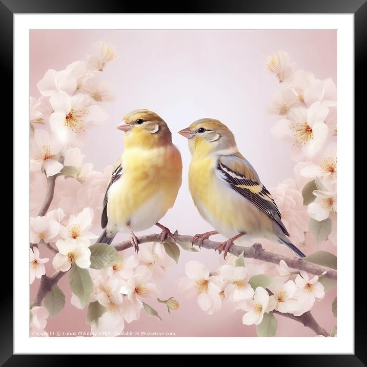 Pair of yellow birds in spring nature. Pastel color style in pink tones - Generative AI Framed Mounted Print by Lubos Chlubny