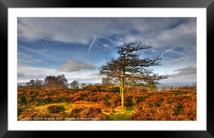 Stanton Moor at Sunset Framed Mounted Print by Chris Drabble