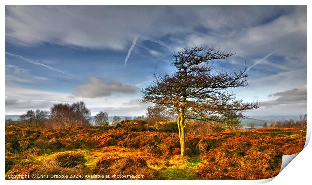 Stanton Moor at Sunset Print by Chris Drabble
