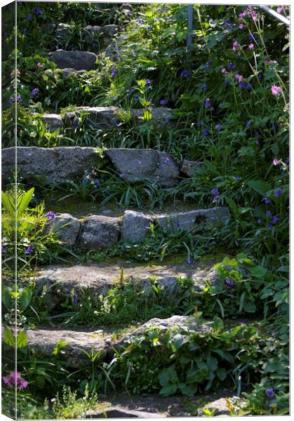 Steps to tranquility Canvas Print by Karl Butler