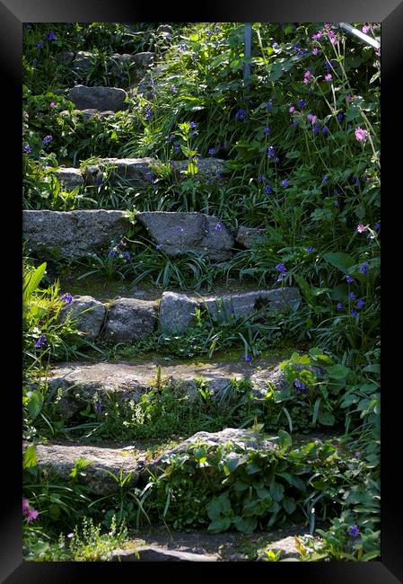 Steps to tranquility Framed Print by Karl Butler