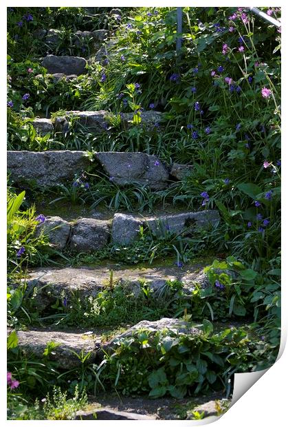 Steps to tranquility Print by Karl Butler