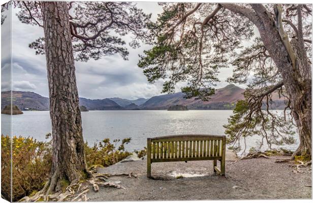 A viewpoint not to be missed Canvas Print by James Marsden