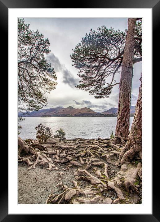 what a viewpoint Framed Mounted Print by James Marsden