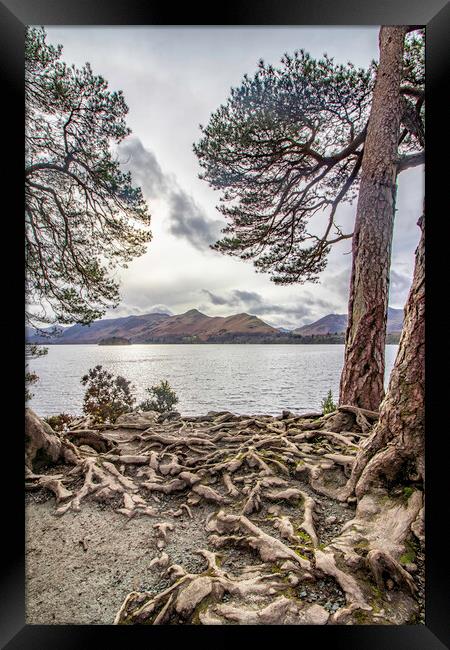 what a viewpoint Framed Print by James Marsden