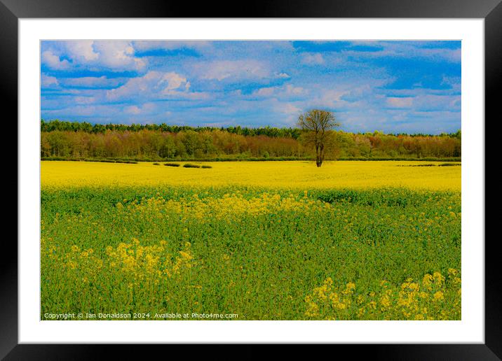 The Joy of Spring Framed Mounted Print by Ian Donaldson