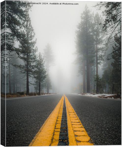Foggy Forest Road Canvas Print by Tom Windeknecht