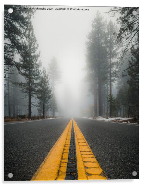 Foggy Forest Road Acrylic by Tom Windeknecht