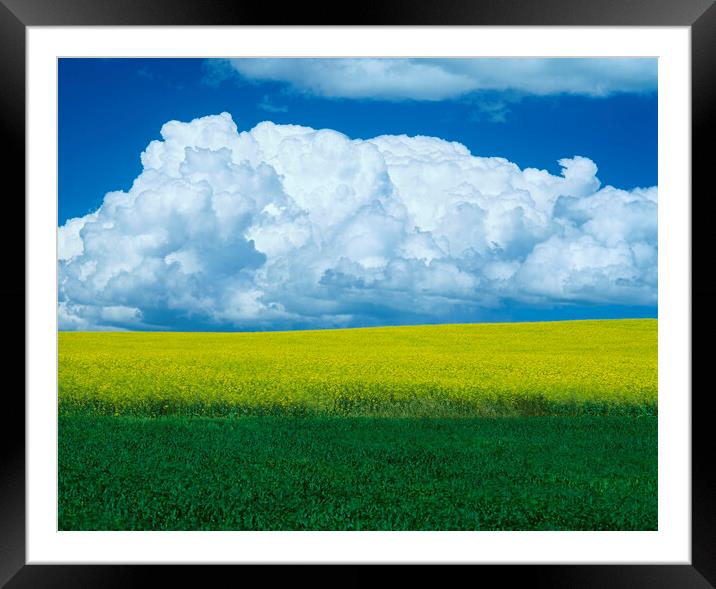 summer Storm Over Farmland Framed Mounted Print by Dave Reede