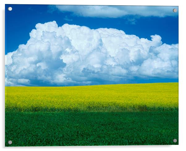 summer Storm Over Farmland Acrylic by Dave Reede