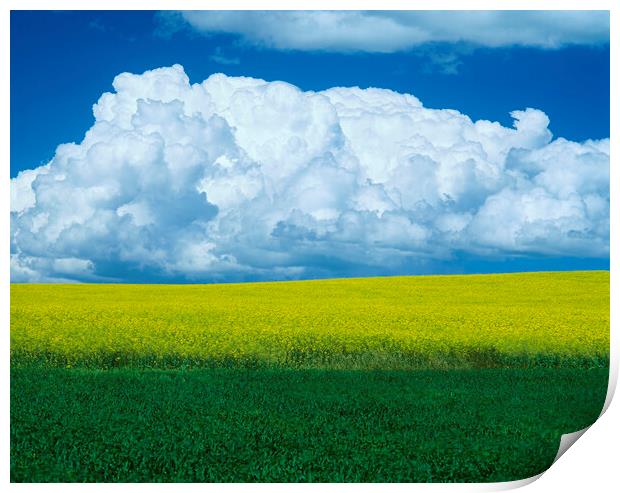 summer Storm Over Farmland Print by Dave Reede