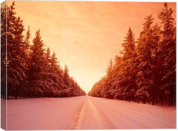 Winter Road Through Pine Forest Canvas Print by Dave Reede