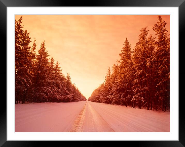 Winter Road Through Pine Forest Framed Mounted Print by Dave Reede