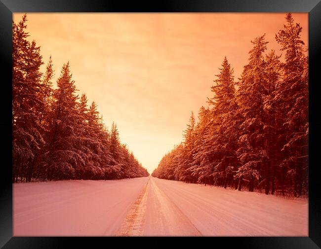 Winter Road Through Pine Forest Framed Print by Dave Reede