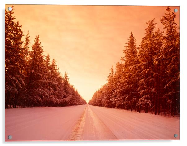 Winter Road Through Pine Forest Acrylic by Dave Reede
