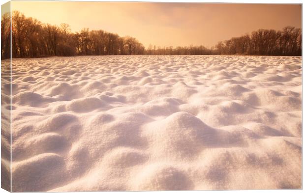 Snow Patterns on Plowed Farmland Canvas Print by Dave Reede