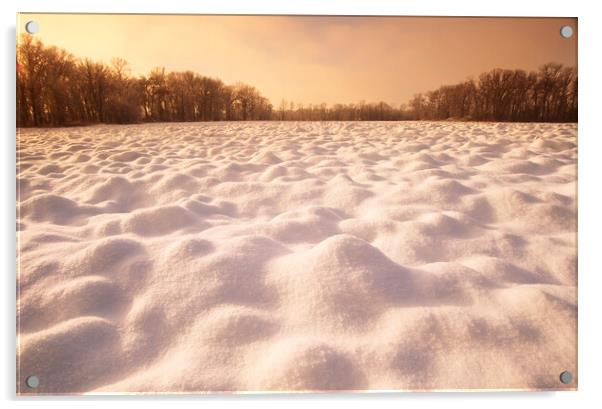 Snow Patterns on Plowed Farmland Acrylic by Dave Reede
