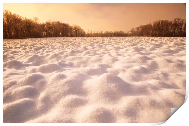 Snow Patterns on Plowed Farmland Print by Dave Reede