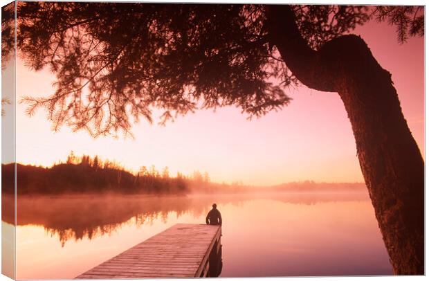 Tranquil Morning Canvas Print by Dave Reede