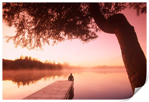Tranquil Morning Print by Dave Reede