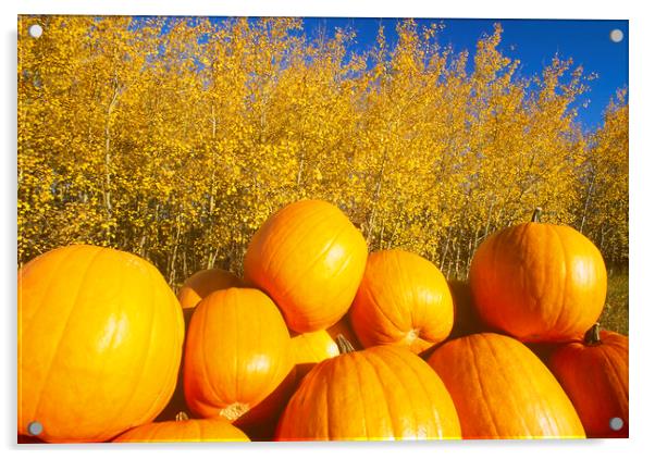 Autumn Harvest Acrylic by Dave Reede
