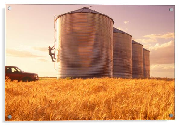 a farmer climbs a grain storage bin Acrylic by Dave Reede