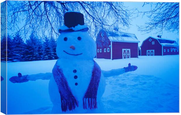 Snowman in Front of Barns Canvas Print by Dave Reede