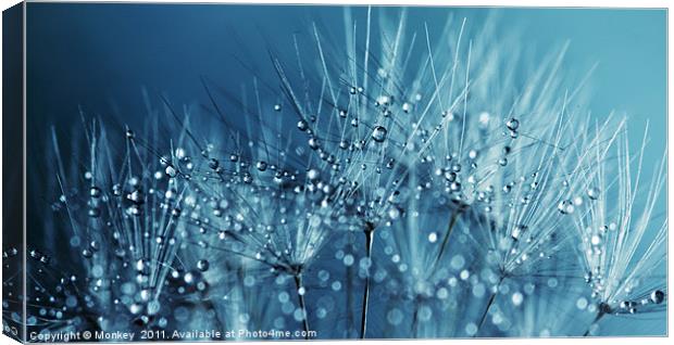 Water Droplets Blue Canvas Print by Anthony Michael 