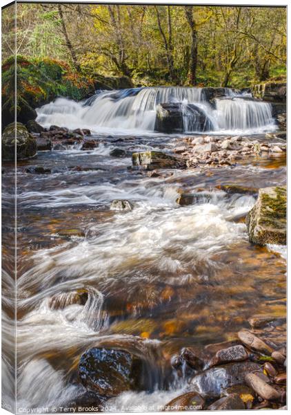 Pont Cwmfedwen Waterfall Wales Canvas Print by Terry Brooks