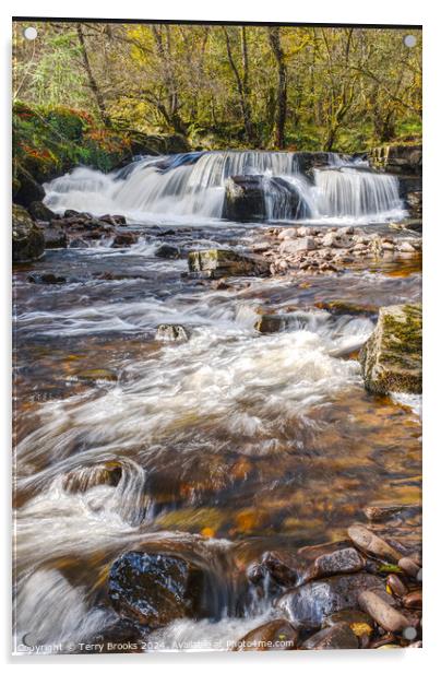 Pont Cwmfedwen Waterfall Wales Acrylic by Terry Brooks