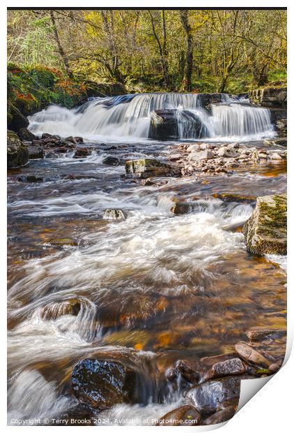 Pont Cwmfedwen Waterfall Wales Print by Terry Brooks