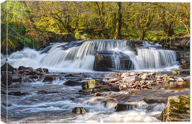 Pont Cwfedwen Waterfall Brecon Beacons Wales Canvas Print by Terry Brooks