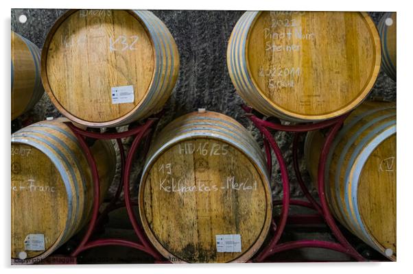 Stacked Wine Barrels  Acrylic by Maggie Bajada