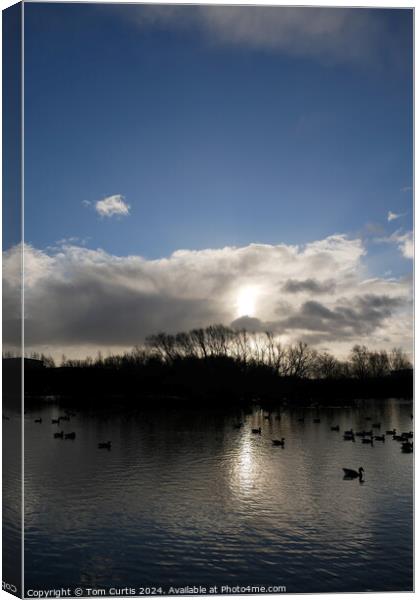 Sun in between the Clouds Canvas Print by Tom Curtis