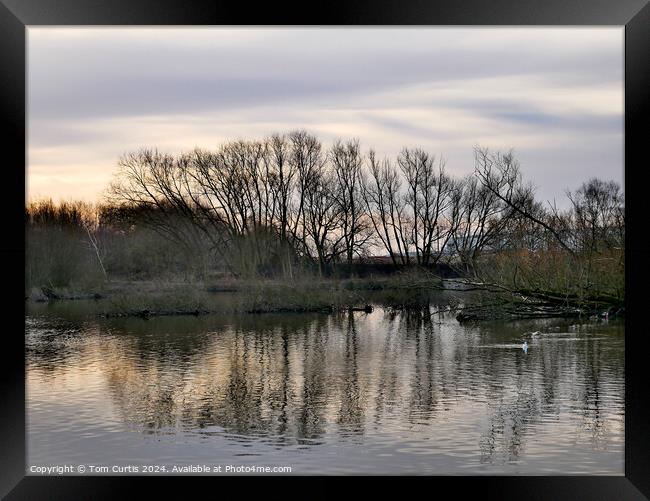 Reflection in the Lake Framed Print by Tom Curtis