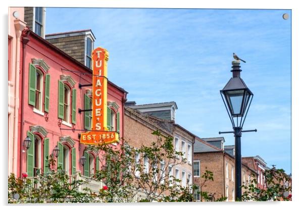 Historic Tujaque's Restaurant in the French Quarter of New Orleans Acrylic by William Morgan