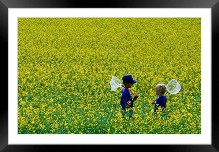 Boys in Canola Field Framed Mounted Print by Dave Reede