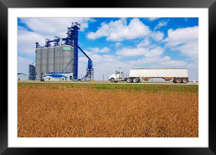 Hauling the Crop Framed Mounted Print by Dave Reede